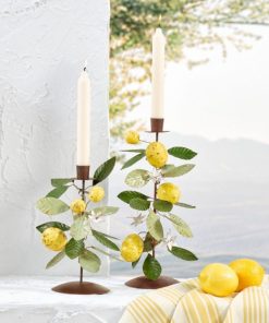 Ayanapoydras.shop045070723d 1