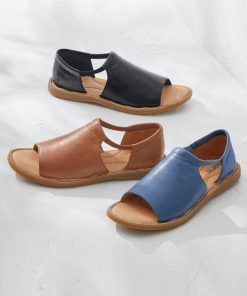 Ayanapoydras.shop2c37727a93 1