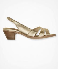 Ayanapoydras.shop447c8026f2 2