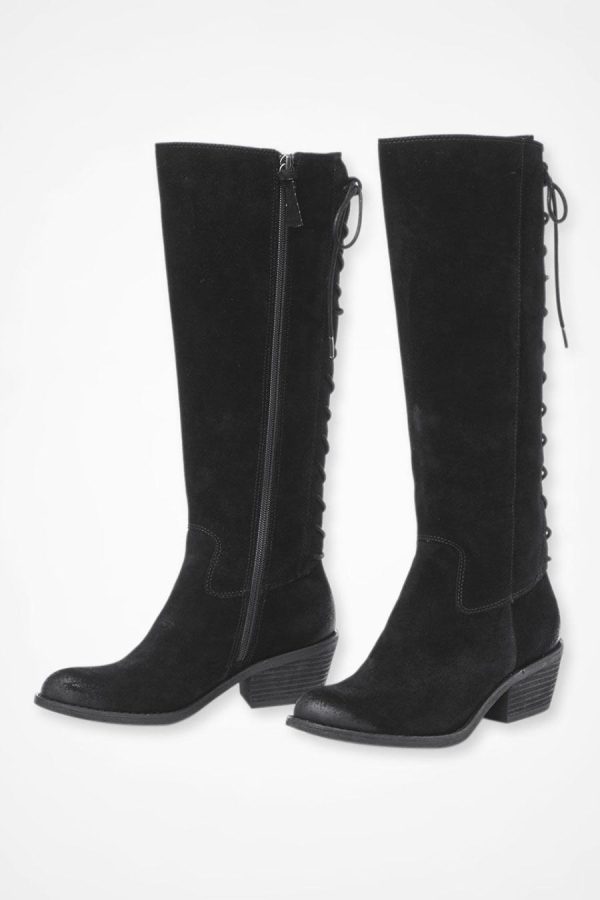 Ayanapoydras.shop528299edba 1