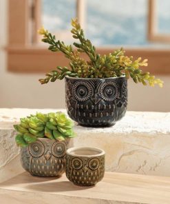 Ayanapoydras.shop5e6a090c99 1