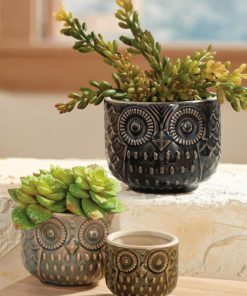 Ayanapoydras.shop5e6a090c99 2