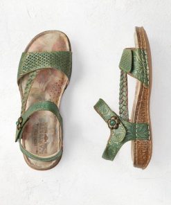 Ayanapoydras.shop71ec6525bd 1