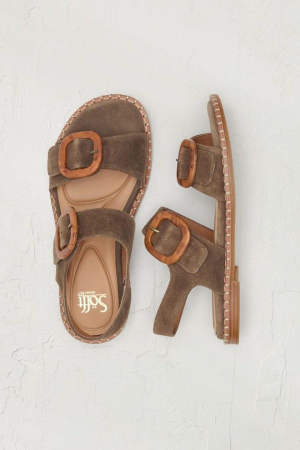 Ayanapoydras.shopa199c2253b 1