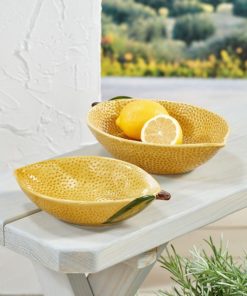 Ayanapoydras.shopaf38d56f61 1