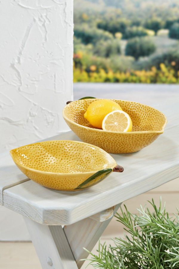 Ayanapoydras.shopaf38d56f61 1