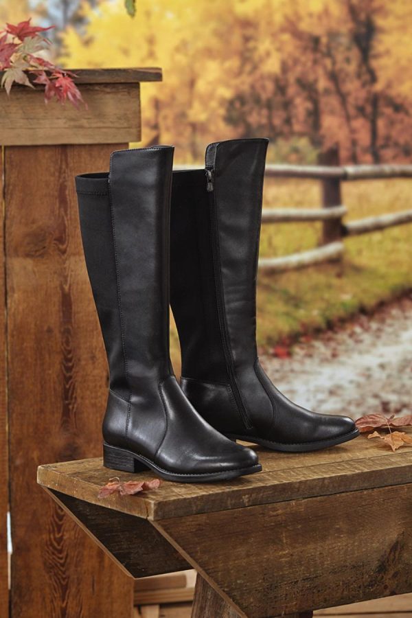 Ayanapoydras.shopdc0e3176e5 1