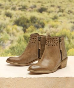 Ayanapoydras.shopdddbb8dd78 1